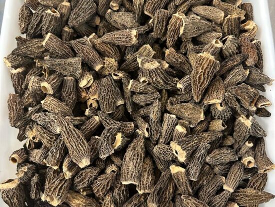 Morilles_traiteur_sechees_Adler_truffes