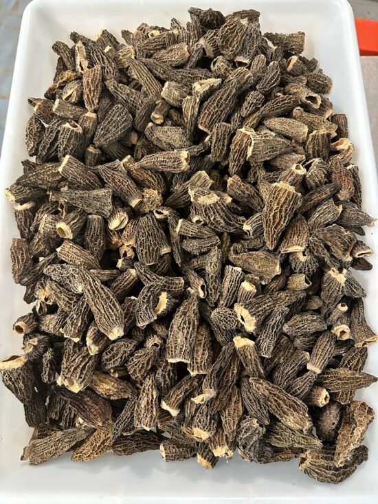 Morilles_traiteur_sechees_Adler_truffes