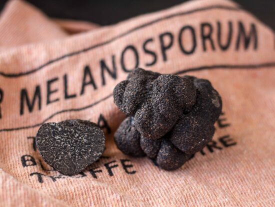 Truffes noires - Tuber Melanosporum